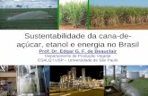 Sustentabilidade da cana-de- açúcar, etanol e energia no ... 2011.pdf · PADRÃO BONSUCRO •O objetivo é reduzir o impacto da produção de cana-de-açúcar no meio ambiente de