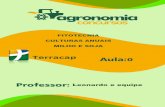 Terracap 0 - Agronomia Concursos · ciclo tem duração entre 12 e 24 meses, entram nesta classe a Cana-de- açúcar e mandioca sendo o maior produtor de mandioca industrializada