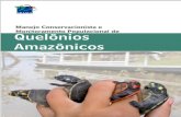 Livro quelonios - rl.art.br · Monitoramento PO ulacional de Quelônios Amazônicos . Ministério do Meio AmbWnte Instituto do e dos Natu de Sustentável de e Florestas de Fau Sil
