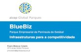 BlueBiz - Porto de Setúbal · (automóvel, aeronáutica, electromecânica, montagem final, distribuição e logística) • Infra-estruturas de alta qualidade para logística - Edifícios