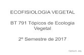 ECOFISIOLOGIA VEGETAL BT 791 Tópicos de Ecologia Vegetal ... · ECOFISIOLOGIA VEGETAL BT 791 Tópicos de Ecologia Vegetal 2º Semestre de 2017 Carlos A. Joly