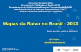 Mapas da Raiva no Brasil - 2013 - saude.pr.gov.br · Ministério da Saúde (MS) Secretaria de Vigilância em Saúde (SVS) Departamento de Vigilância das Doenças Transmissíveis