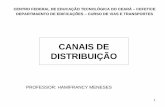 CANAIS DE DISTRIBUIÇÃO - Prefeitura de Ananindeua · • Garantir um fluxo de informações rápido e preciso entre os agentes da ... uma dada cadeia de ... alguns distribuidores