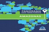 AMAZONAS - observatoriodeeducacao.org.br · Este Panorama do Território busca reunir um conjunto de in-formações sobre os 26 estados brasileiros e o Distrito Federal com o objetivo