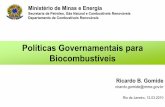 Ministério de Minas e Energia - cetem.gov.br · Políticas Governamentais para Biocombustíveis Ricardo B. Gomide ricardo.gomide@mme.gov.br Rio de Janeiro, 12.03.2010 Ministério