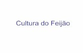 A cultura do feijão em Santa Catarina - feis.unesp.br · Kluthcouski, J. etal. Fundamentos para uma agricultura Sustentável com ênfase na cultura do feijoeiro.EMBRAPA Arroz e Feijão,