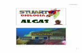 ALGAS - STUART - 2013 - cursosimbios.com.br - STUART - 2013.pdf · Euglenofíceas Crisofíceas ou algas douradas Pirrofíceasou dinoflageladas (são todas eucariontes, unicelulares