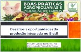 Desafios e oportunidades da produção integrada no Brasilsimpas.org.br/assets/arquivos/DIA3_PN4_PAL3-ProducaoSustentavel... · Europa – Brasil ee “A Produção ... (Livro Branco