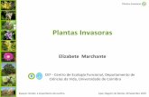 Elizabete Marchante - Lipor · Espécies invasoras são uma das principais ameaças à biodiversidade a nível global Objectivo do seminário: “ ... Evolução das plantas exóticas