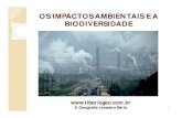 OS IMPACTOS AMBIENTAIS E A BIODIVERSIDADEtiberiogeo.com.br/texto/SlideAulaImpactosAmbientais89.pdf · A poluição 2 Os impactosAmbientaise a Biodiversidade A Geografia Levada a Sério