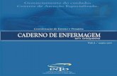 Caderno de Enfermagem Tif - into.saude.gov.br · CADERNO DE ENFERMAGEM Volume 2 - Maio 2009 Diretor do INTO Dr. Geraldo Motta Filho Coordenador de Ensino e Pesquisa ... estimulada