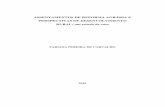 ASSENTAMENTOS DE REFORMA AGRÁRIA E … · FABIANA PEREIRA DE CARVALHO ASSENTAMENTOS DE REFORMA AGRÁRIA E PERSPECTIVAS DE DESENVOLVIMENTO RURAL: um estudo de caso Monografia apresentada