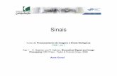 Sinais - ic.uff.braconci/Sinais2017.pdf · Sinais Curso de Processamento de Imagens e Sinais Biológicos PISB - 2017 Cap. 1 : K. Najarian and R. Splinter, Biomedical Signal and Image