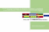 Estudo das áreas temáticas no “Domínio Prioritário 1 ... · privados em Maputo, Beira e Pemba. A qualidade das informações recolhidas e a boa disposição das pessoas encontradas