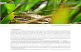 Levantamento Entomofaunístico da Zona de Proteção ...natal.rn.gov.br/semurb/revistas/edicoes/artigos/novembro2016/5... · de sementes, regulação de populações de plantas, animais
