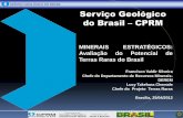 SERVIÇO GEOLÓGICO DO BRASIL Serviço Geológico do Brasil … · Além de abundante, também deverá ser classificado como crítico, pois tem extrema concentração em um único
