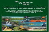 A Convenção sobre Diversidade Biológica: Entendendo e ... e... · O Brasil possui uma rica sociodiversidade, representada por mais de 200 povos indígenas e uma diversidade de