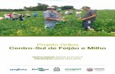 Projeto Grãos Centro-Sul de Feijão e Milho 7.500 kg/ha na cultura do milho para produtores participantes dos grupos de discussão/resultados. • Profissionalizar 87 produtores colaboradores,