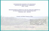 UNIVERSIDADE FEDERAL DO AMAZONAS CENTRO DE … da Mata.pdf · pressÕes atualmente sobre o ambiente natural ... a conjugaÇÃo de dados em representaÇÃo matricial, ... base cartogrÁfica