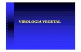 V rus Parte I - labfitop.paginas.ufsc.brlabfitop.paginas.ufsc.br/files/2017/04/Virus-Parte-I.pdf · viróide da exocorte citros; ... amarelecimento internerval; - clareamento nervuras;