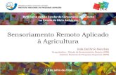 Sensoriamento Remoto Aplicado à Agricultura - DSR/INPE · Sensoriamento Remoto - Visão sinóptica da superfície - Repetitividade de recobrimento (monitoramento sistemático) -