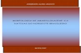 ANDERSON ALVES-ARAÚJO - Livros Grátislivros01.livrosgratis.com.br/cp034512.pdf · anderson alves-araÚjo morfologia de amaryllidaceae s.s. nativas do nordeste brasileiro recife/2007