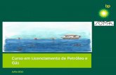 Curso em Licenciamento de Petr³leo e G .“leo Gs Petroleumsignifica â€œ³leo de rochaâ€‌ ou