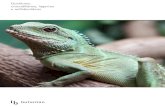 Quelônios, crocodilianos, lagartos e anfisbenídeospublicacoeseducativas.butantan.gov.br/web/quelonios/pages/pdf/... · lagartos, como tartaruga-da-Amazônia, iguanas e teiús, incluindo
