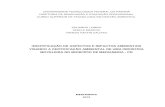IDENTIFICAÇÃO DE ASPECTOS E IMPACTOS AMBIENTAIS …repositorio.roca.utfpr.edu.br/.../1/1652/1/MD_COGEA_2013_1_05.pdf · e impactos ambientais visando à certificação ambiental