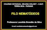 FILO NEMATÓDEOS - Professora Leonilda · Reino FILO NEMATELMINTOS ou NEMATÓDEOS •Posição Sistemática : Animalia Sub reino: Metazoa Filo: Nematoda