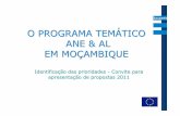 O PROGRAMA TEMÁTICO ANE & AL EM MOÇAMBIQUEeeas.europa.eu/archives/delegations/mozambique/documents/news/nsa... · por objectivo co-financiar as iniciativas ... - reforço das redes