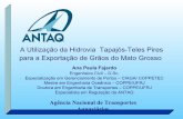A Utilização da Hidrovia Tapajós-Teles Pires para a ...web.antaq.gov.br/Portal/pdf/Palestras/PalestraAnaPaulaFajardo.pdf · Passo 2: Definição das expansões: capacidade dos