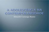 Eduardo Camargo Bueno - Campinas-SP · “os novos desafios epidemiológicos da ... atingir um saber social, que os preparava para um ... para mudar o comportamento intempestivo dos