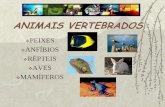 ANIMAIS VERTEBRADOS - colegiosantarosa-pa.com.brcolegiosantarosa-pa.com.br/material_do_professor/klicia_regateiro/... · animais invertebrados aquáticos, como o anfioxo e a ascídia,