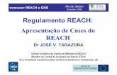 REACH Tarazona 12 09 08 port - inmetro.gov.brinmetro.gov.br/barreirastecnicas/REACH/TarazonaII.pdf · unidades monoméricas ligadas quimicamente e de outras substâncias químicas