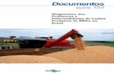 Documentos ISSN 1518-4277 168 Dezembro, 2014ainfo.cnptia.embrapa.br/digital/bitstream/item/118533/1/doc-168.pdf · Potencialidades da Cadeia Produtiva do Milho no Brasil. ... Desenvolvimento