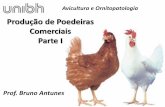 Produção de Poedeiras Comerciais - gectaunibh.comgectaunibh.com/wp-content/uploads/2018/08/Aula-06-Poedeiras-Comer... · ... 95g/ave/dia Descarte: 80 semanas 7 18 semanas Peso adulto: