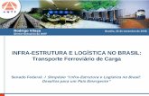 INFRA-ESTRUTURA E LOGÍSTICA NO BRASIL: Transporte ... · Eliminação de Gargalos. 1. Agenda Estratégica das Ferrovias. ... 434 invasões na faixa de domínio . ... São Paulo -