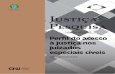 SUMÁRIO EXECUTIVO Perfil do acesso à justiça nos juizados ... · Perfil do acesso à justiça nos juizados especiais cíveis PAULO EDUARDO ALVES DA SILVA COORDENADOR SUMÁRIO EXECUTIVO