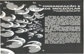Organlza~io - Universidade de São Paulo · A teoria atomico-molecular da materia nos pro-pee um modelo no qual partfculas (molaculas e atomos) se organizam de maneiras diferentes