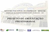 SISTEMA NACIONAL DE EMPREGO SINE/CE · projeto de orientaÇÃo profissional sistema nacional de emprego – sine/ce instituto de desenvolvimento do trabalho – idt