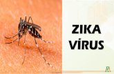 Apresentação do PowerPoint - romulopassos.com.brrus.pdf · ETIOPATOGENIA • Zika Vírus – ZIKAV (arbovírus) Gênero/Família • Flavivírus da família Flaviviridae • Vetorial,