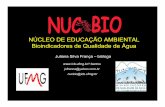 NÚCLEO DE EDUCAÇÃO AMBIENTAL Bioindicadores de Qualidade de …labs.icb.ufmg.br/benthos/index_arquivos/pdfs_pagina/Minicurso/A... · Imagine também que a quantidade de água que