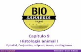 Capítulo 9 Histologia animal I - biosanabria.com.br · Livro 1 –Capítulo 9 BioSanabria –Grupos de Estudo 1. Tecido Epitelial 2. Tecido Conjuntivo 3. Tecido Muscular 4. Tecido