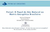 Painel: O Papel do Gás Natural na Matriz Energética Brasileira · Evolução da produção do petróleo e do gás Incertezas das importações da Bolívia Papel futuro do GNL no