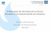 O Mercado de Gás Natural no Brasil: Desafios à ... · Apesar do crescimento recente, a penetração do gás natural na matriz energética brasileira é ainda muito baixa Produção