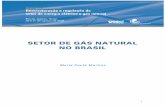 SETOR DE GÁS NATURAL NO BRASIL - nuca.ie.ufrj.br · A produção abrange a elevação do gás natural do reservatório, o processamento primário no campo, a separação água-gás-condensado-óleo