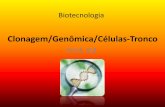Clonagem/Genômica/Células-Tronco - admin.webplus.com.bradmin.webplus.com.br/public/upload/downloads/030520161826239897618... · •O núcleo de uma célula da glândula mamária