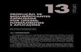 CAPÍTULO PRODUÇÃO DE BIOLUBRIFICANTES CATALISADA …pdf.blucher.com.br.s3-sa-east-1.amazonaws.com/openaccess/... · a partir de óleos vegetais, ... tuem o grande desafio representado
