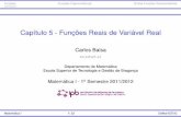 Capítulo 5 - Funções Reais de Variável Realbalsa/teaching/1112/M1/cap5.pdf · FunçõesFunções TrigonométricasOutras Funções Transcendentes Deﬁnição de Função Umafunção